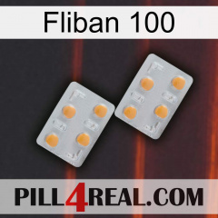 Fliban 100 25